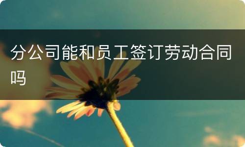 分公司能和员工签订劳动合同吗