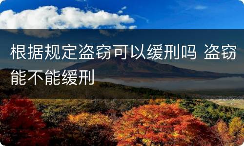 根据规定盗窃可以缓刑吗 盗窃能不能缓刑