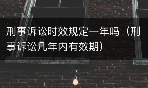 刑事诉讼时效规定一年吗（刑事诉讼几年内有效期）