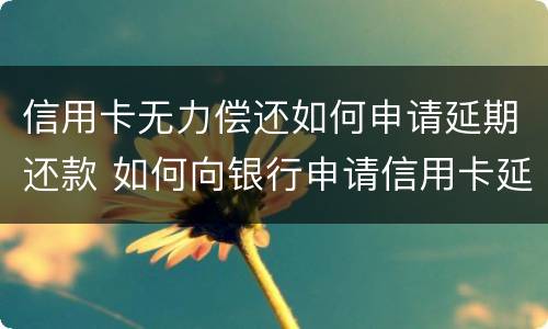信用卡无力偿还如何申请延期还款 如何向银行申请信用卡延期还款