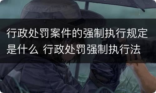 行政处罚案件的强制执行规定是什么 行政处罚强制执行法