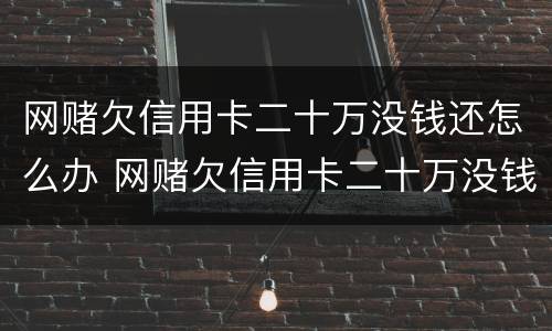 网赌欠信用卡二十万没钱还怎么办 网赌欠信用卡二十万没钱还怎么办呢