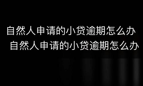 自然人申请的小贷逾期怎么办 自然人申请的小贷逾期怎么办