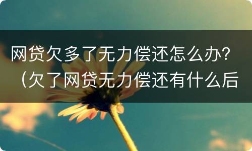 网贷欠多了无力偿还怎么办？（欠了网贷无力偿还有什么后果）