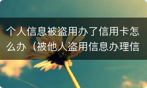个人信息被盗用办了信用卡怎么办（被他人盗用信息办理信用卡）