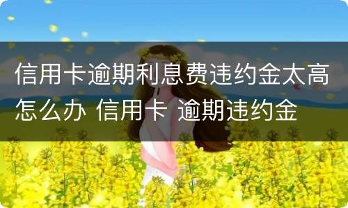 信用卡逾期利息费违约金太高怎么办 信用卡 逾期违约金