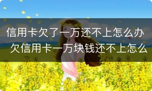 信用卡欠了一万还不上怎么办 欠信用卡一万块钱还不上怎么办