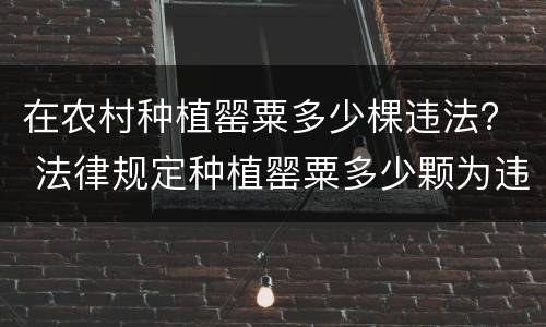 在农村种植罂粟多少棵违法？ 法律规定种植罂粟多少颗为违法行为