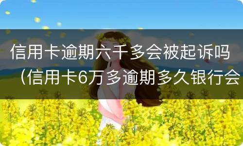 信用卡逾期六千多会被起诉吗（信用卡6万多逾期多久银行会起诉）