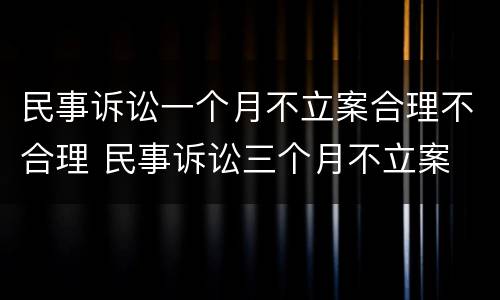 民事诉讼一个月不立案合理不合理 民事诉讼三个月不立案