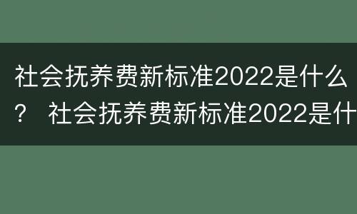 社会抚养费新标准2022是什么？ 社会抚养费新标准2022是什么标准
