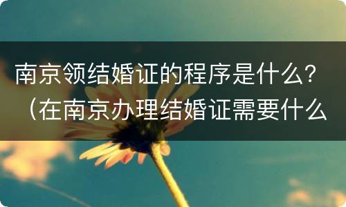 南京领结婚证的程序是什么？（在南京办理结婚证需要什么证件）