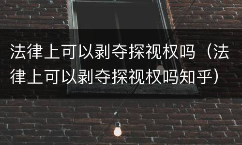 法律上可以剥夺探视权吗（法律上可以剥夺探视权吗知乎）