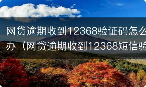 网贷逾期收到12368验证码怎么办（网贷逾期收到12368短信验证码）