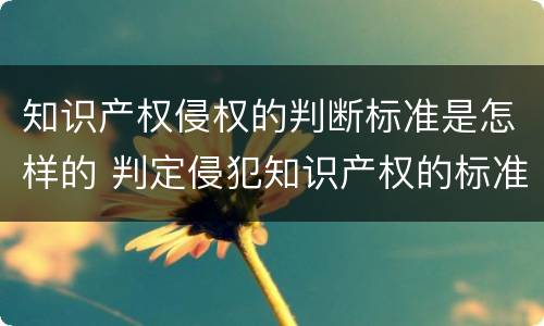知识产权侵权的判断标准是怎样的 判定侵犯知识产权的标准