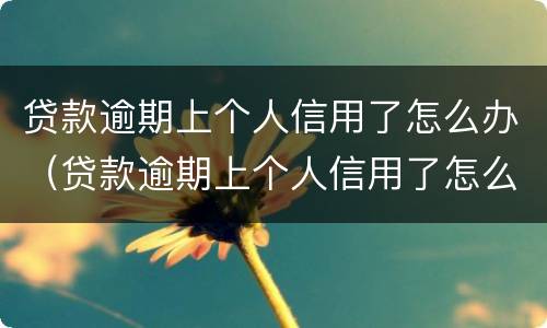 贷款逾期上个人信用了怎么办（贷款逾期上个人信用了怎么办）