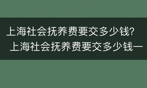上海社会抚养费要交多少钱？ 上海社会抚养费要交多少钱一年