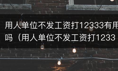 用人单位不发工资打12333有用吗（用人单位不发工资打12333有用吗怎么投诉）