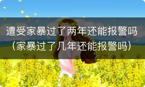 遭受家暴过了两年还能报警吗（家暴过了几年还能报警吗）