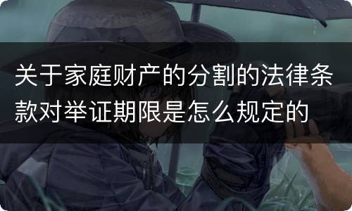 关于家庭财产的分割的法律条款对举证期限是怎么规定的