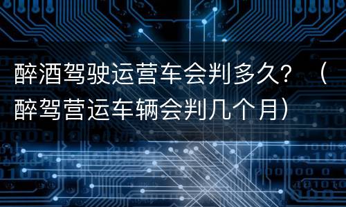 醉酒驾驶运营车会判多久？（醉驾营运车辆会判几个月）