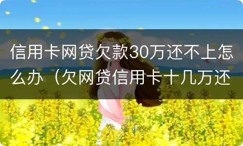 信用卡网贷欠款30万还不上怎么办（欠网贷信用卡十几万还不上怎么办）