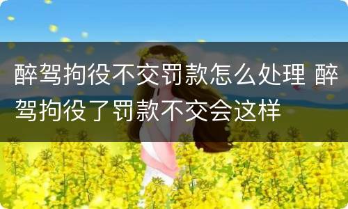 醉驾拘役不交罚款怎么处理 醉驾拘役了罚款不交会这样