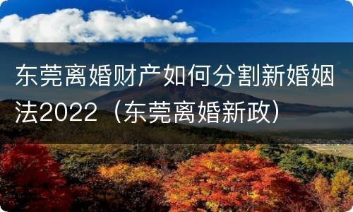 东莞离婚财产如何分割新婚姻法2022（东莞离婚新政）