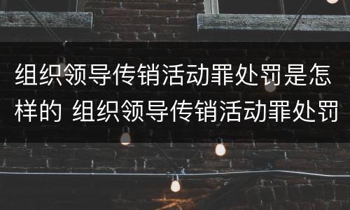 组织领导传销活动罪处罚是怎样的 组织领导传销活动罪处罚是怎样的呢
