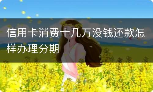 信用卡消费十几万没钱还款怎样办理分期