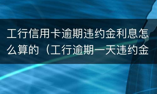工行信用卡逾期违约金利息怎么算的（工行逾期一天违约金和利息可追回吗）