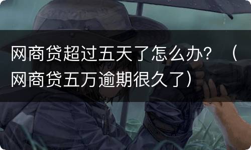 网商贷超过五天了怎么办？（网商贷五万逾期很久了）