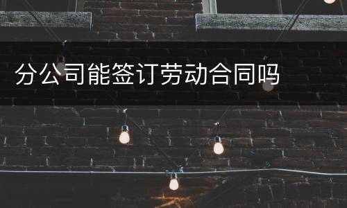 分公司能签订劳动合同吗