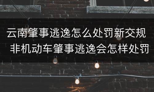 云南肇事逃逸怎么处罚新交规 非机动车肇事逃逸会怎样处罚