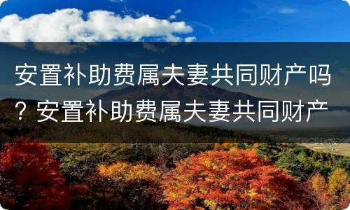安置补助费属夫妻共同财产吗? 安置补助费属夫妻共同财产吗怎么算