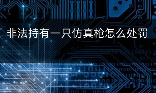 非法持有一只仿真枪怎么处罚