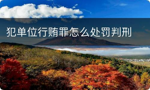 犯单位行贿罪怎么处罚判刑