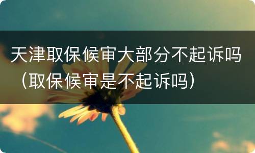 天津取保候审大部分不起诉吗（取保候审是不起诉吗）