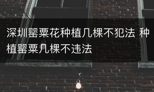 深圳罂粟花种植几棵不犯法 种植罂粟几棵不违法