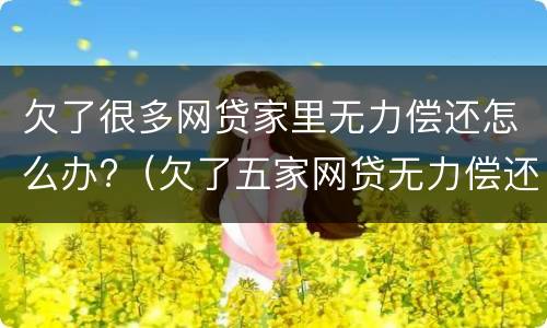 欠了很多网贷家里无力偿还怎么办?（欠了五家网贷无力偿还怎么办）