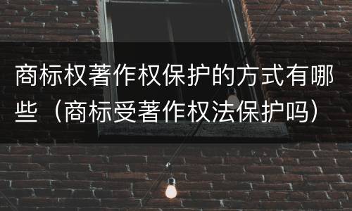 商标权著作权保护的方式有哪些（商标受著作权法保护吗）