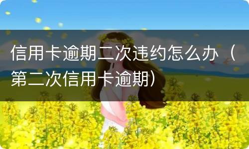 信用卡逾期二次违约怎么办（第二次信用卡逾期）