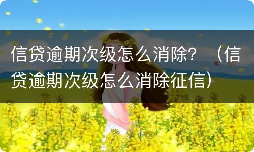 信贷逾期次级怎么消除？（信贷逾期次级怎么消除征信）