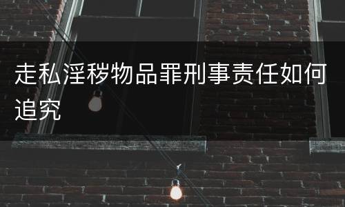 走私淫秽物品罪刑事责任如何追究