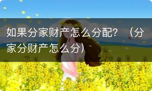 如果分家财产怎么分配？（分家分财产怎么分）