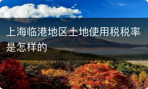 上海临港地区土地使用税税率是怎样的