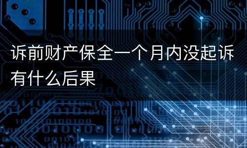 诉前财产保全一个月内没起诉有什么后果