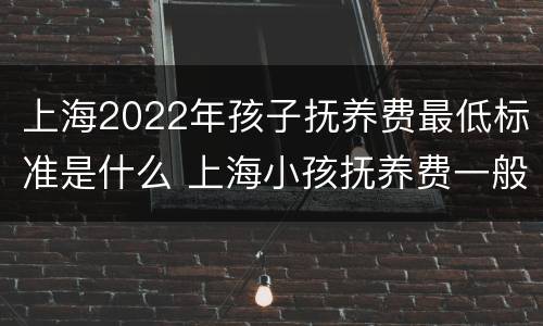 上海2022年孩子抚养费最低标准是什么 上海小孩抚养费一般在多少2019