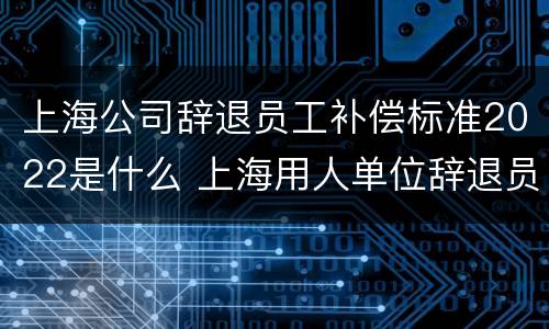 上海公司辞退员工补偿标准2022是什么 上海用人单位辞退员工补偿标准