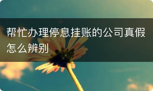 帮忙办理停息挂账的公司真假怎么辨别